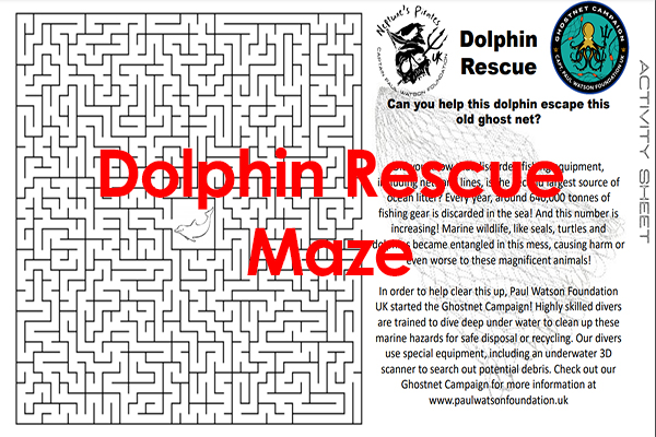 Activity Maze Dolphin Rescue